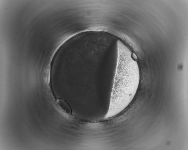 X0000101981276200808151353