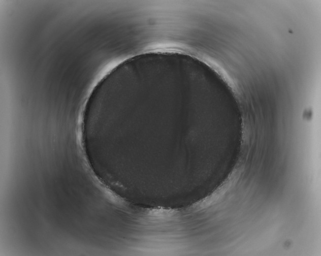 X0000101981277200808151353