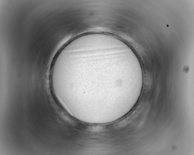 X0000101981278200808151353