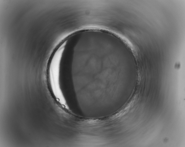 X0000101981279200808151353