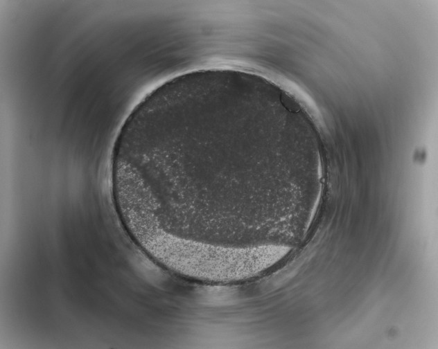 X0000101981280200808151353