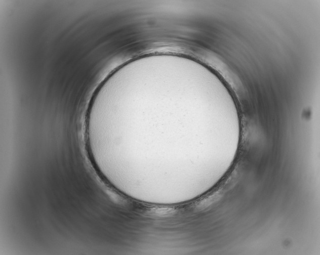 X0000101981282200808151353