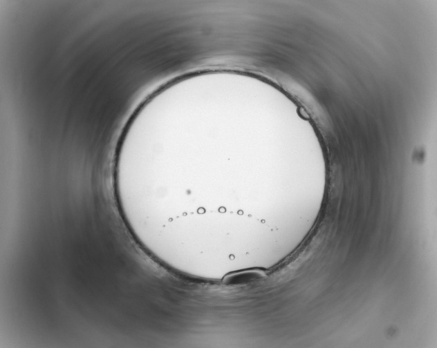 X0000101981288200808151353