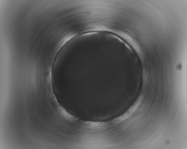 X0000101981289200808151352