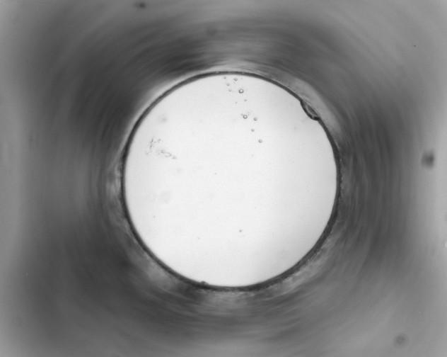 X0000101981292200808151352