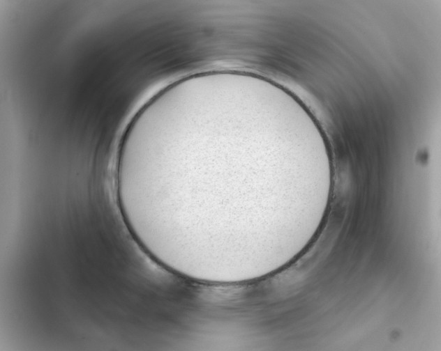 X0000101981294200808151352