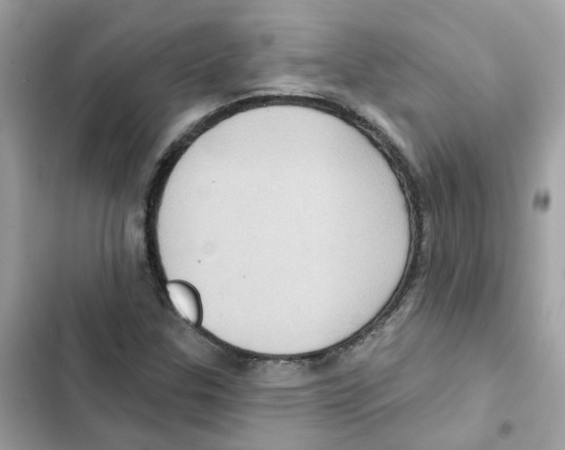 X0000101981307200808151352