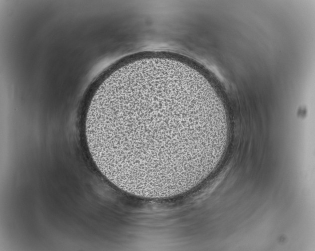 X0000101981311200808151352