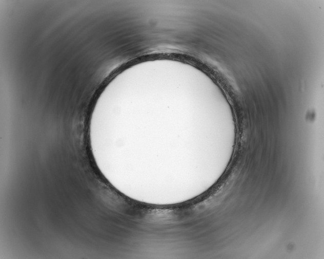 X0000101981313200808151352