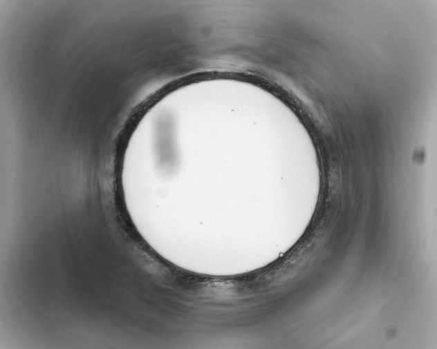 X0000101981315200808151352