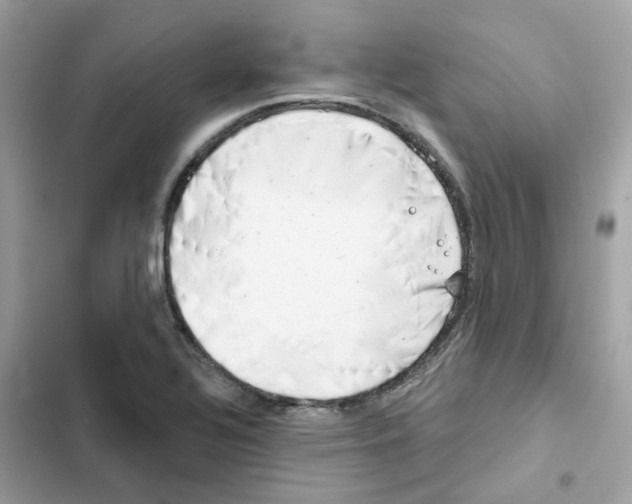 X0000101981320200808151352