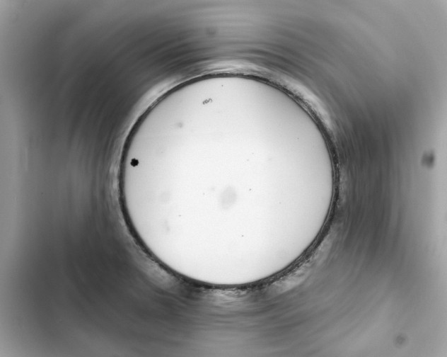 X0000101981330200808151352