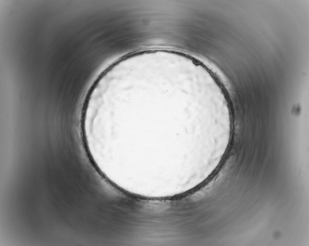 X0000101981333200808151352