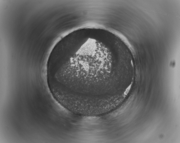 X0000101981335200808151352