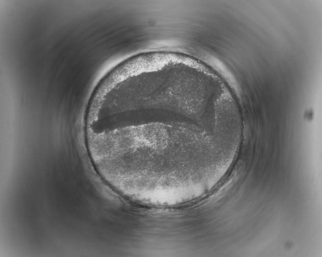 X0000101981336200808151352