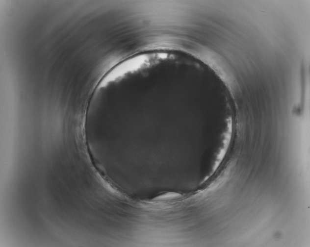 X0000101981337200808151352