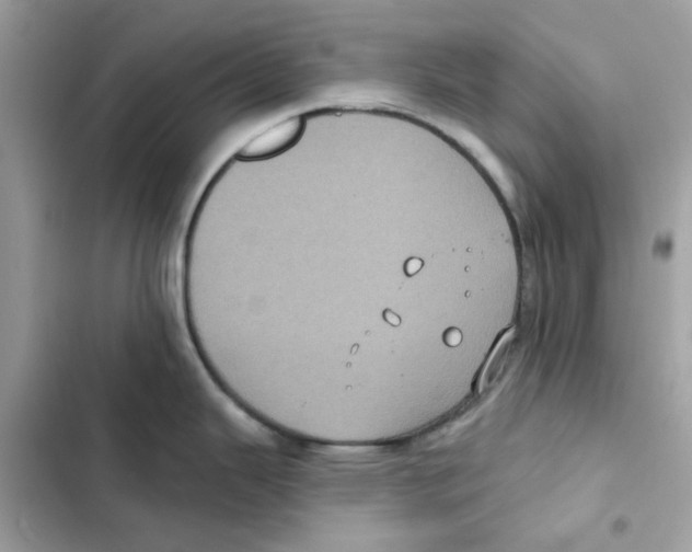 X0000101981343200808151352