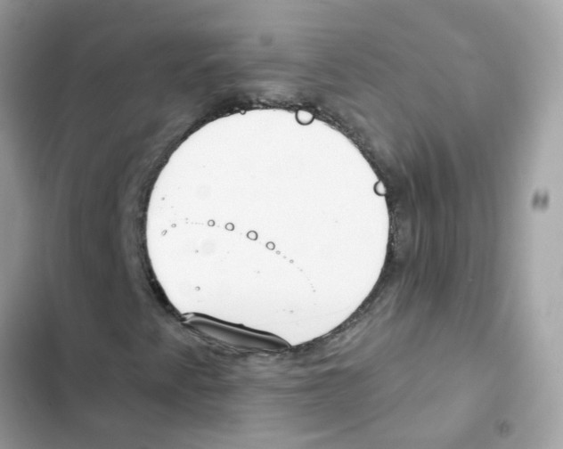 X0000101981345200808151352