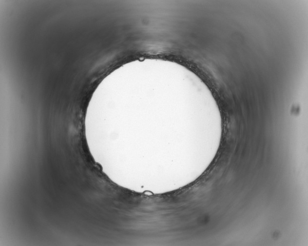 X0000101981349200808151352