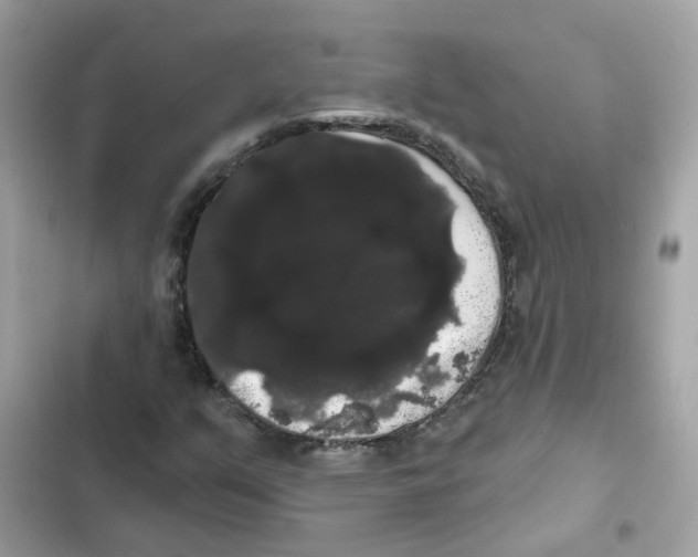 X0000101981351200808151352