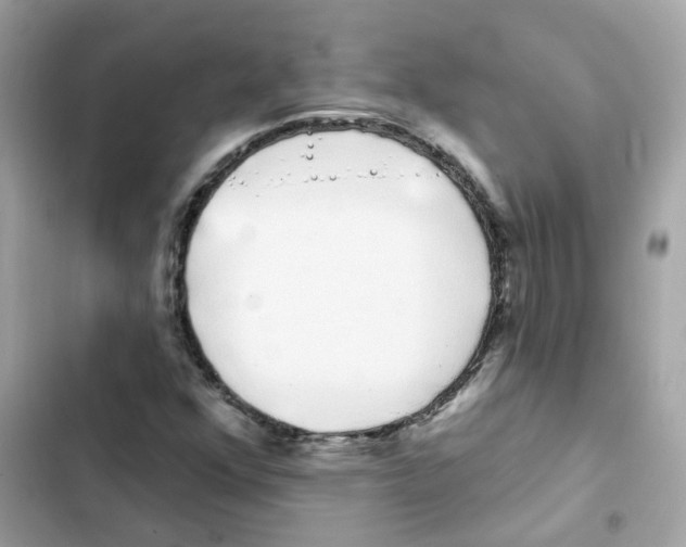 X0000101981352200808151351