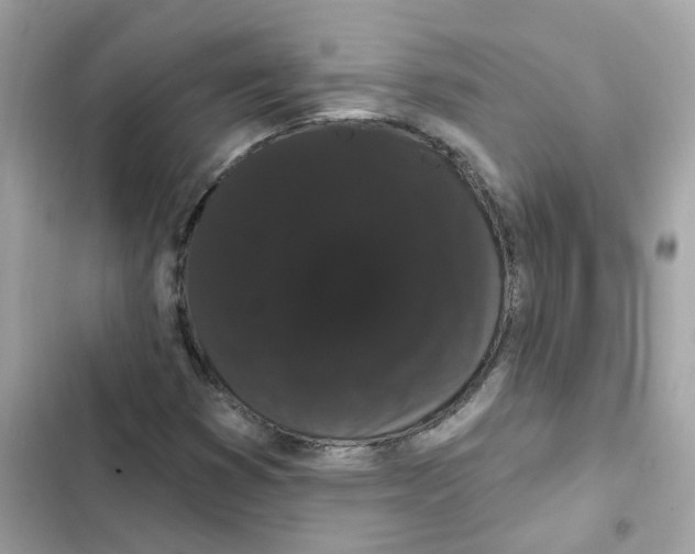 X0000101981353200808151351