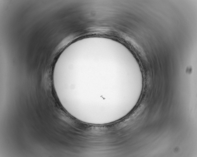 X0000101981354200808151351