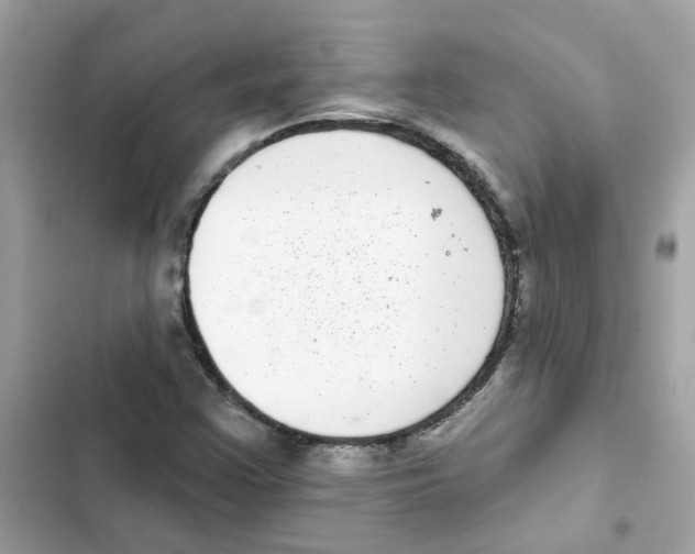 X0000101981355200808151351