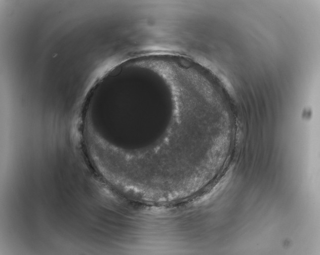 X0000101981357200808151351