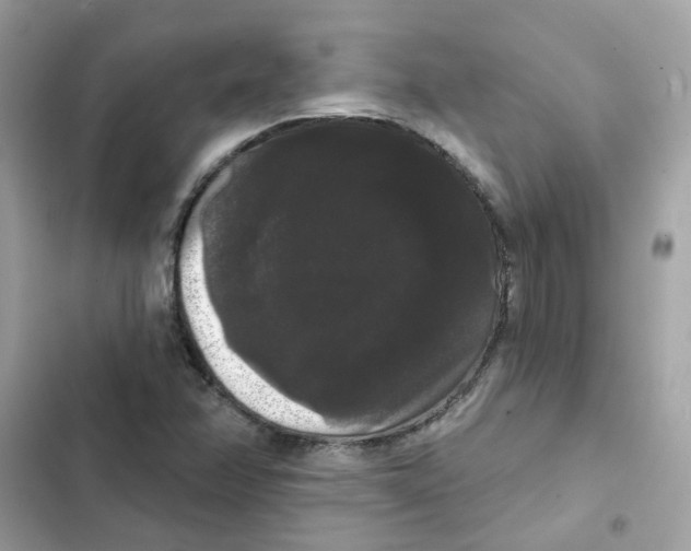 X0000101981358200808151351