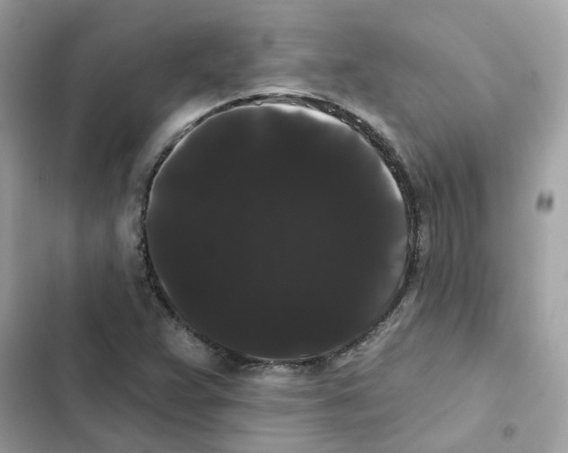 X0000101981359200808151351