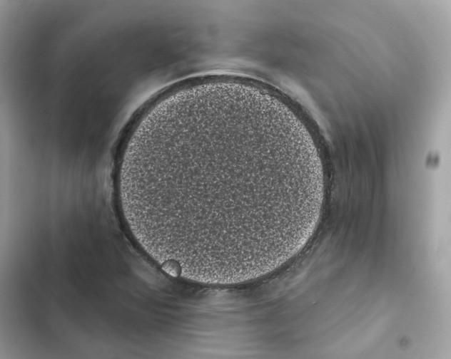 X0000101981360200808151351