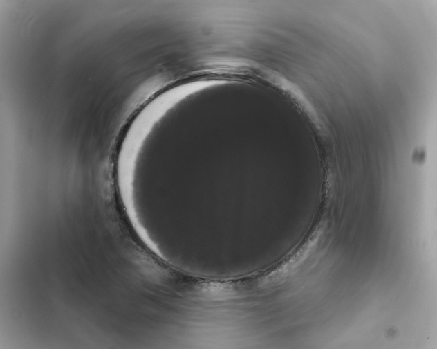 X0000101981362200808151351