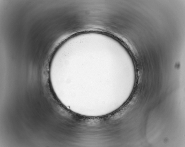 X0000101981363200808151351