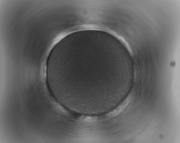 X0000101981365200808151351