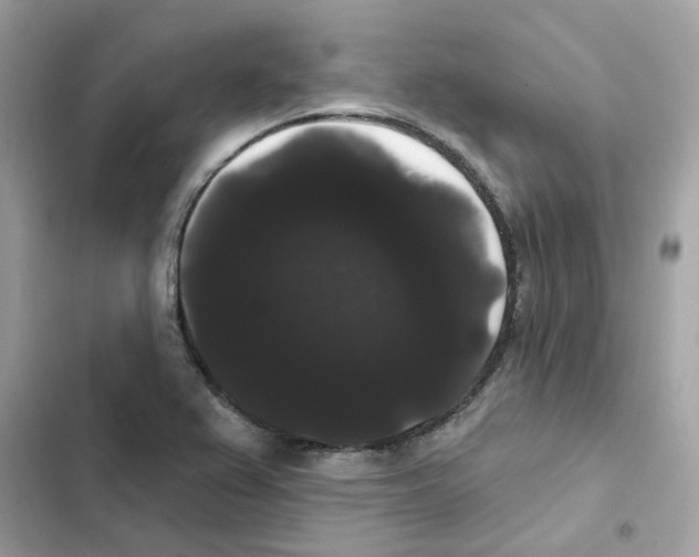 X0000101981367200808151351