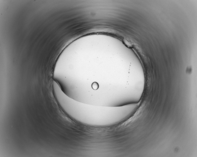 X0000101981369200808151351