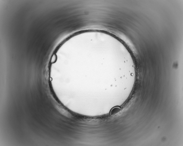 X0000101981372200808151351