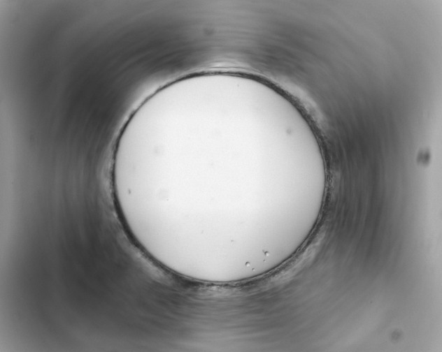 X0000101981374200808151351