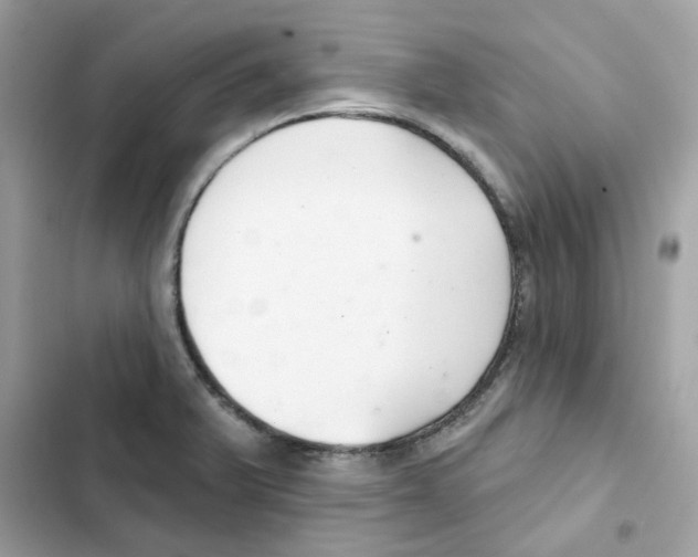 X0000101981375200808151351