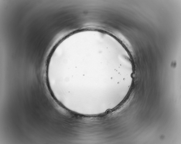 X0000101981376200808151351