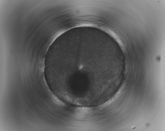 X0000101981377200808151351