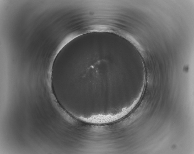 X0000101981378200808151351