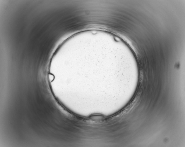 X0000101981379200808151351