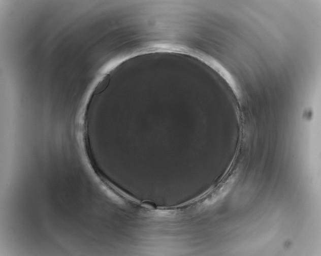 X0000101981381200808151351