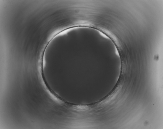 X0000101981383200808151351