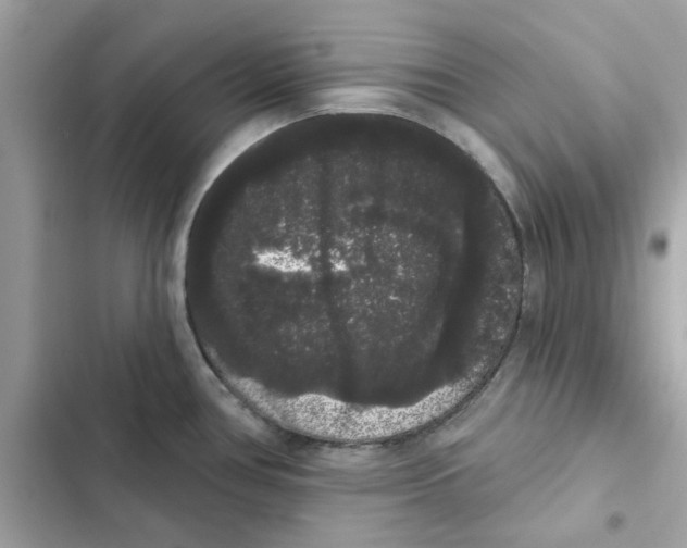 X0000101981386200808151351