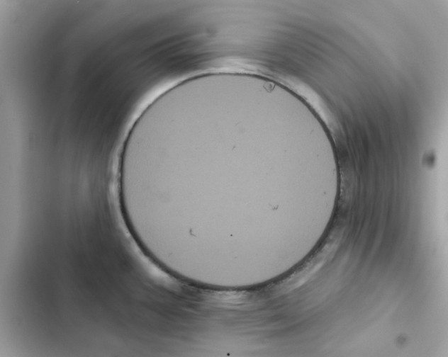 X0000101981387200808151351