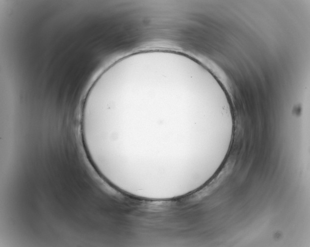 X0000101981390200808151351