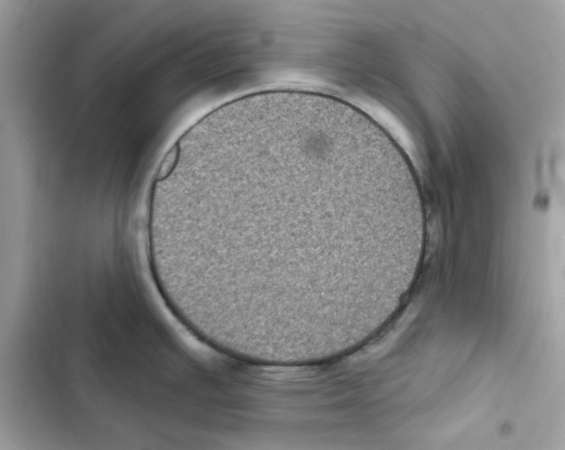 X0000101981391200808151351